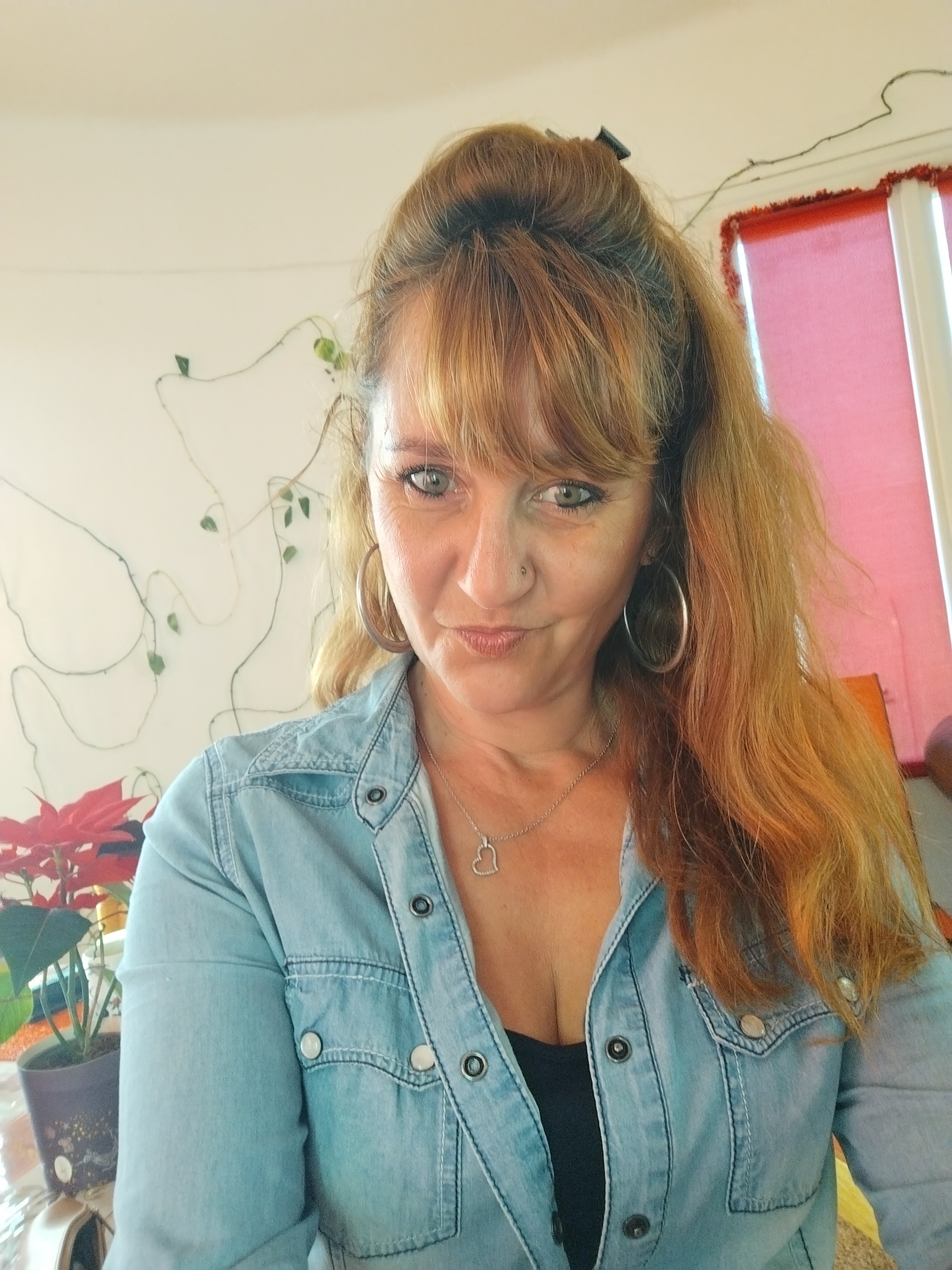 Service aide menagere 66 entre particuliers