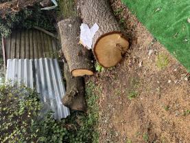 Location : tronconneuse Location : tronconneuse