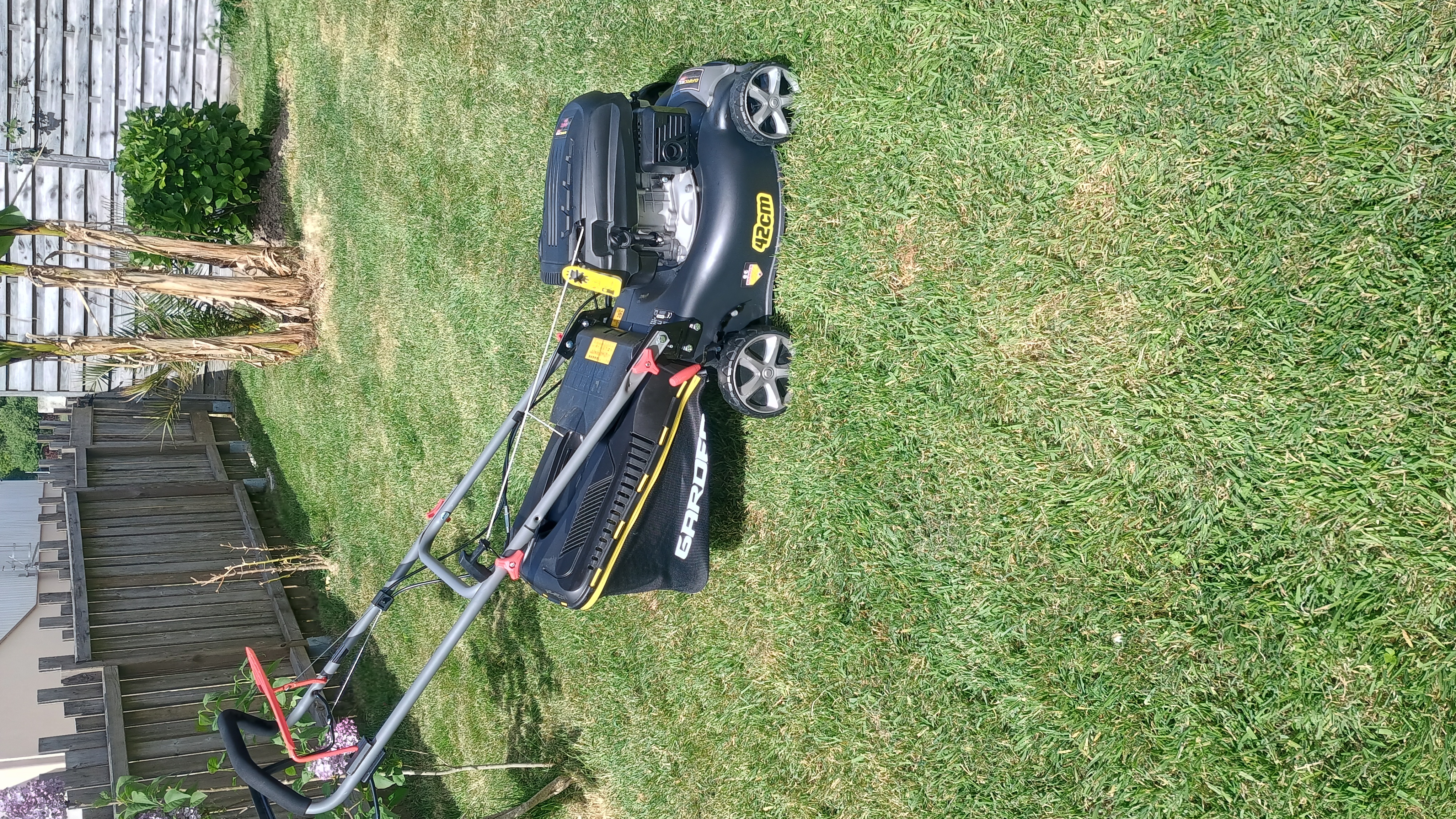 Location tondeuse 56 entre particuliers