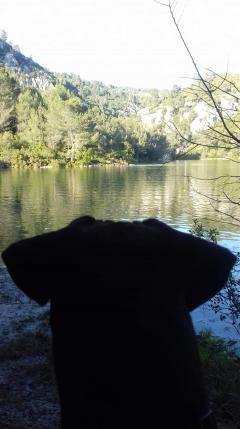 Service : paysagiste Service : paysagiste