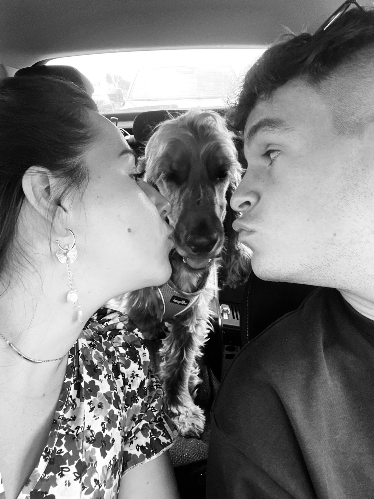 Service garde animaux 49 entre particuliers