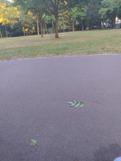 Location : logement contre service Location : logement contre service