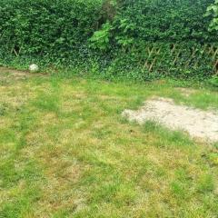 Service : amenagement jardin Service : amenagement jardin