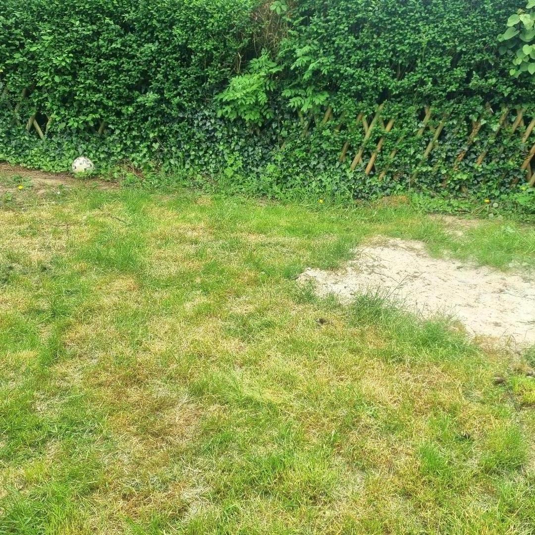 Service amenagement jardin 91 entre particuliers