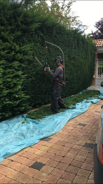 Service taille de haies 01 entre particuliers