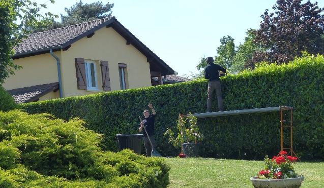 Service taille de haies 01 entre particuliers