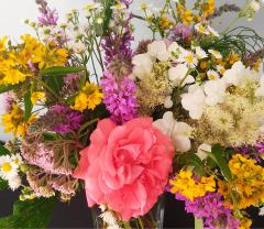 Service : service a personne Service : service a personne