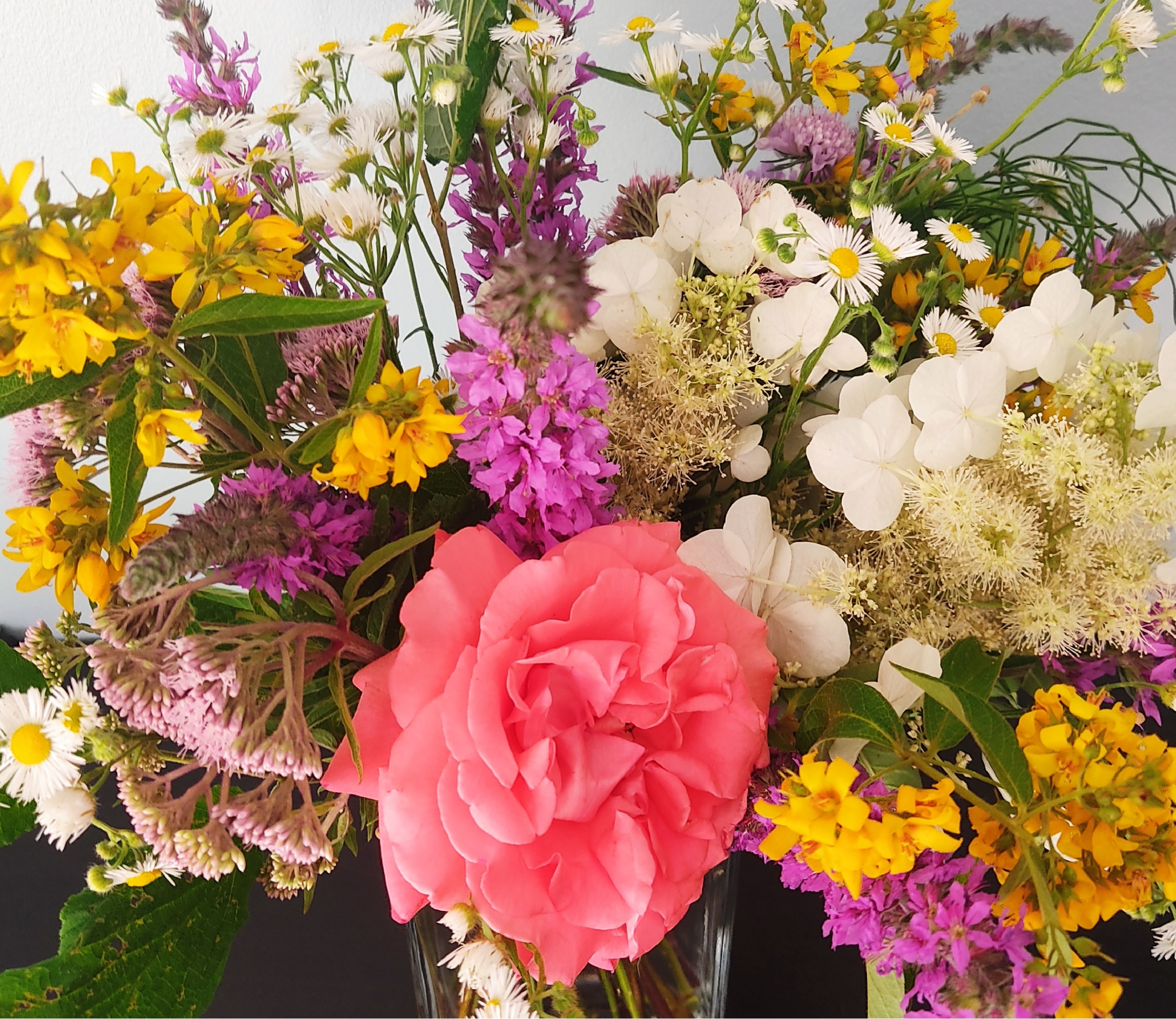 Service service a personne 33 entre particuliers