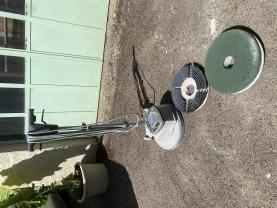 Location : monobrosse Location : monobrosse