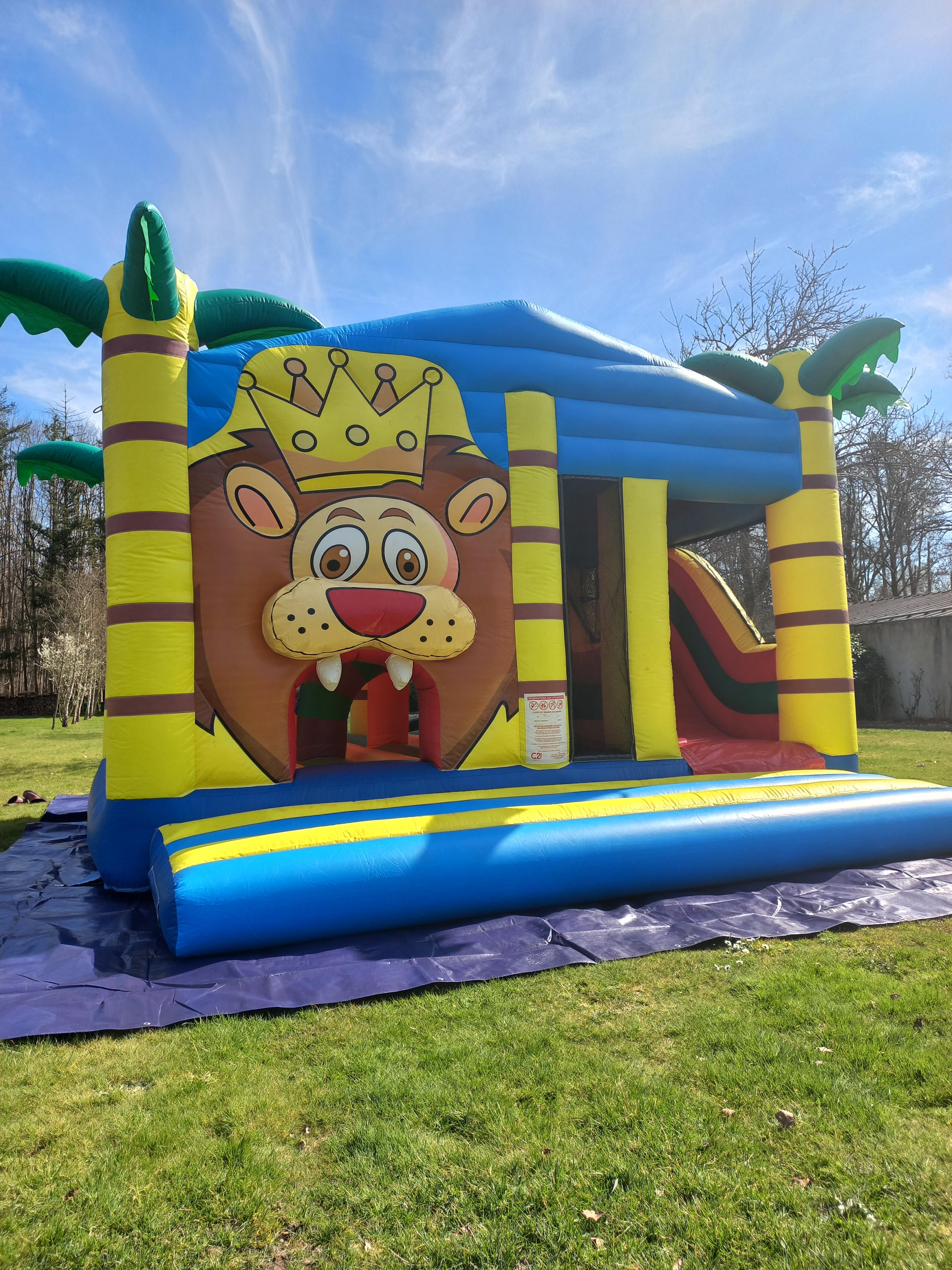 Location chateau gonflable 45 entre particuliers