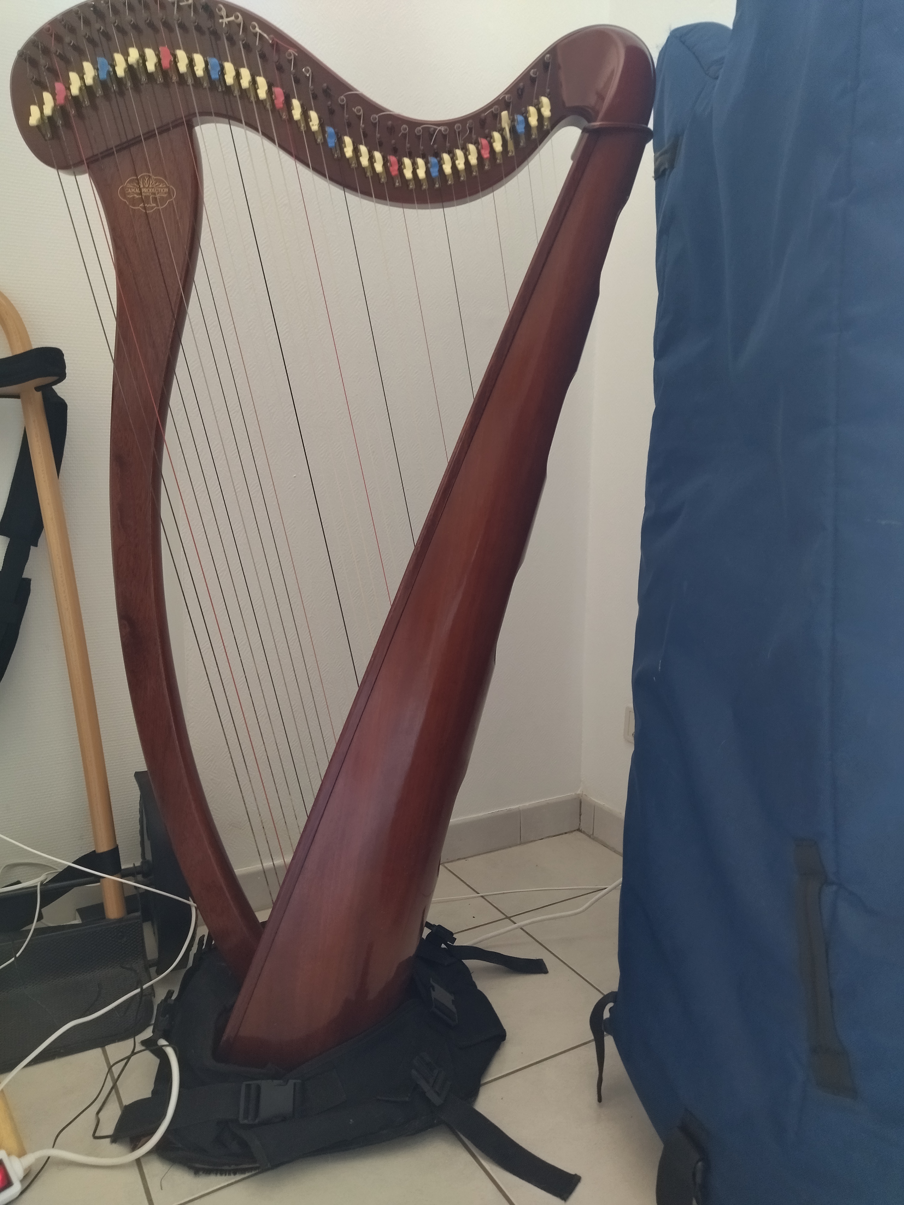 Location instrument musique 57 entre particuliers