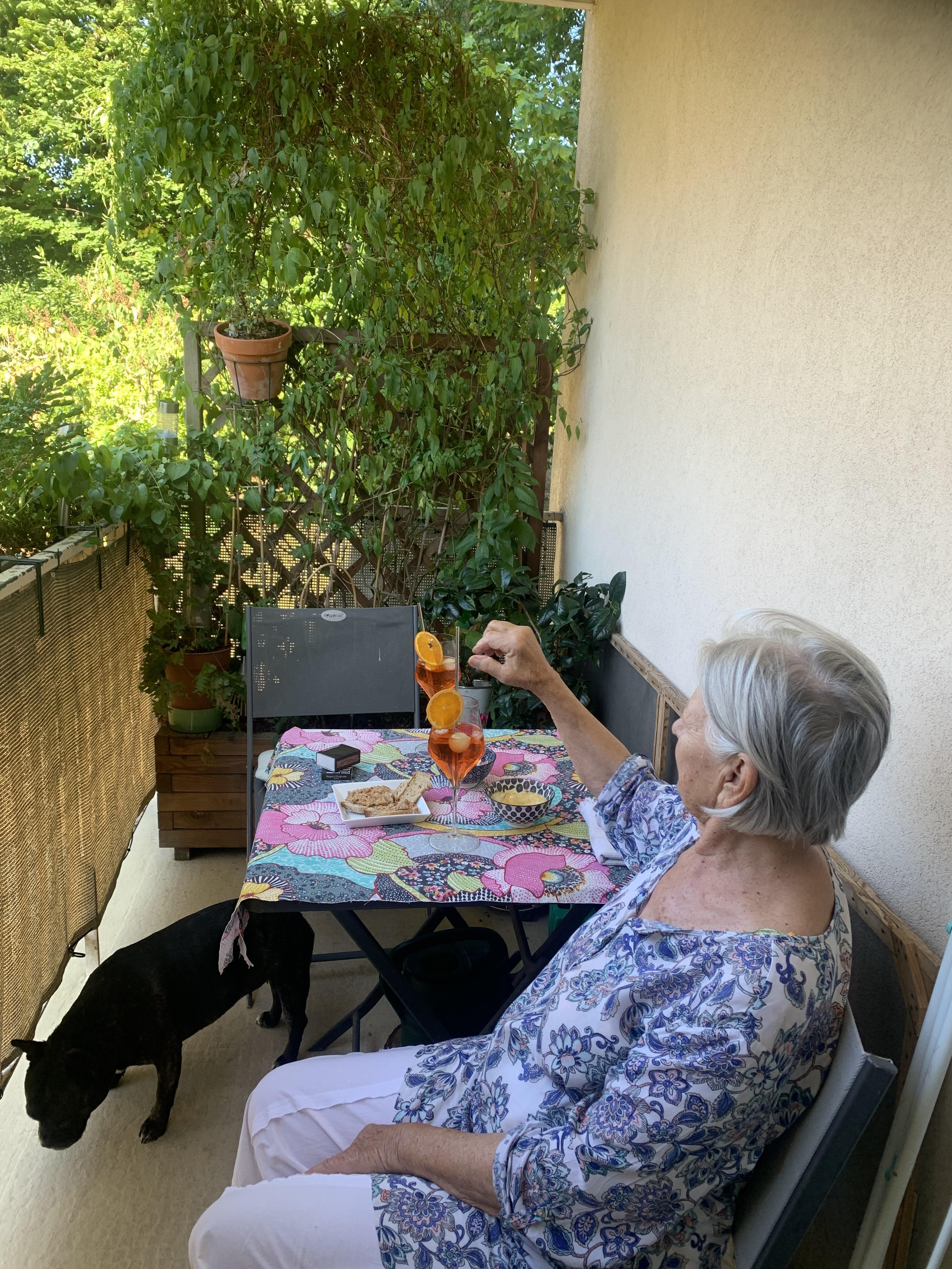 Service promeneur chien 33 entre particuliers