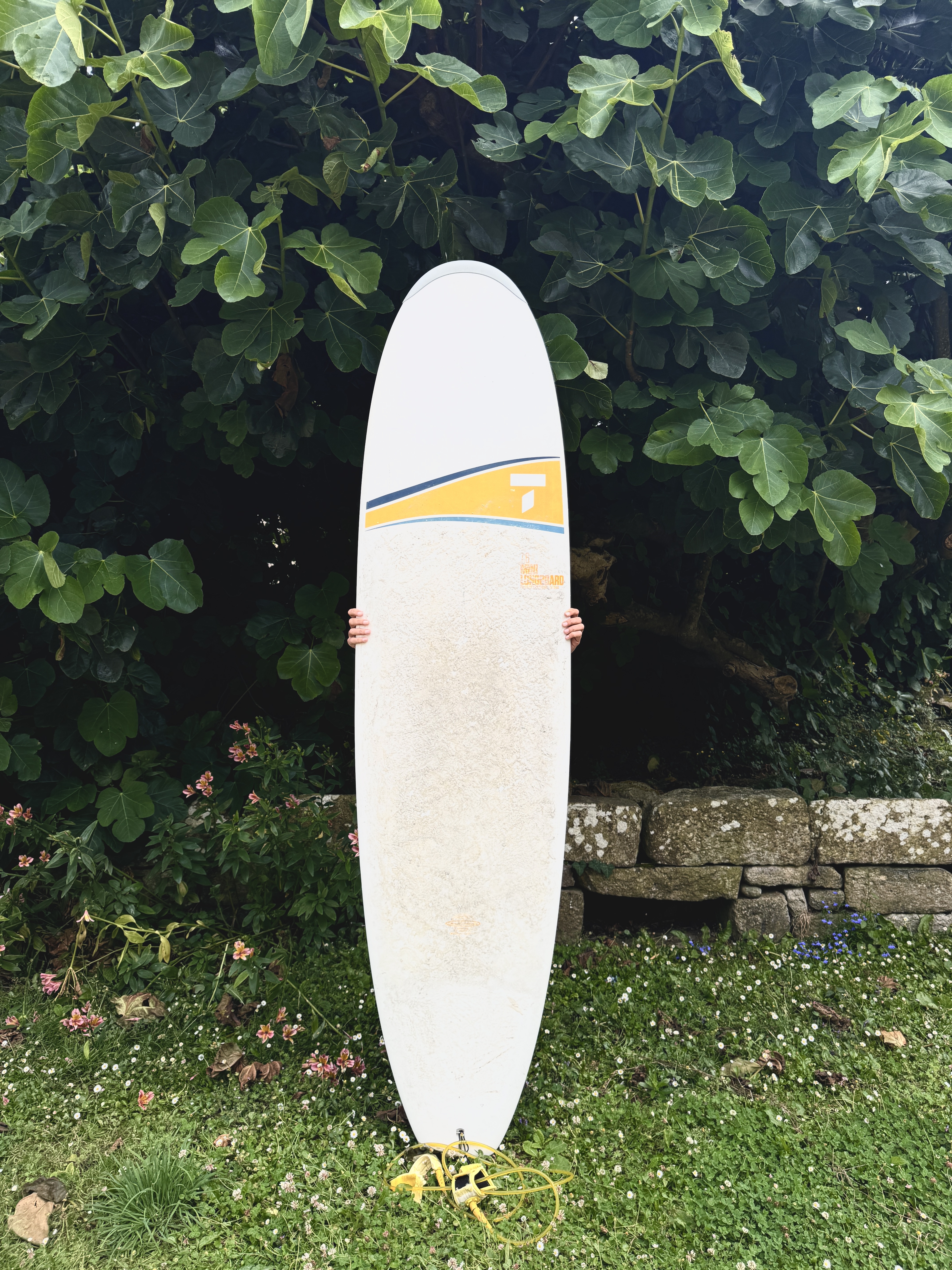 Location planche de surf 29 entre particuliers