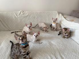 Location : autres electromenager