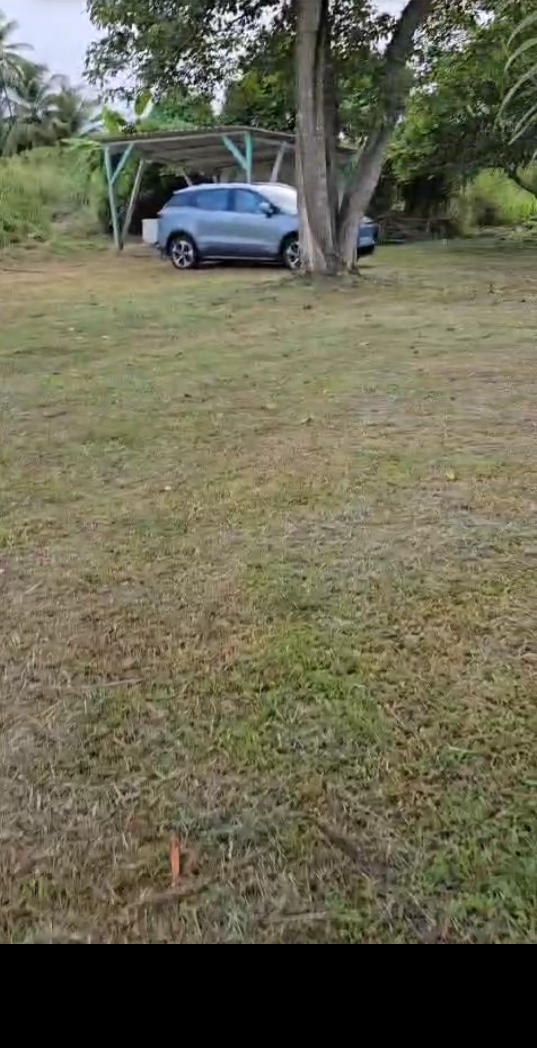 Location jardin 97 entre particuliers