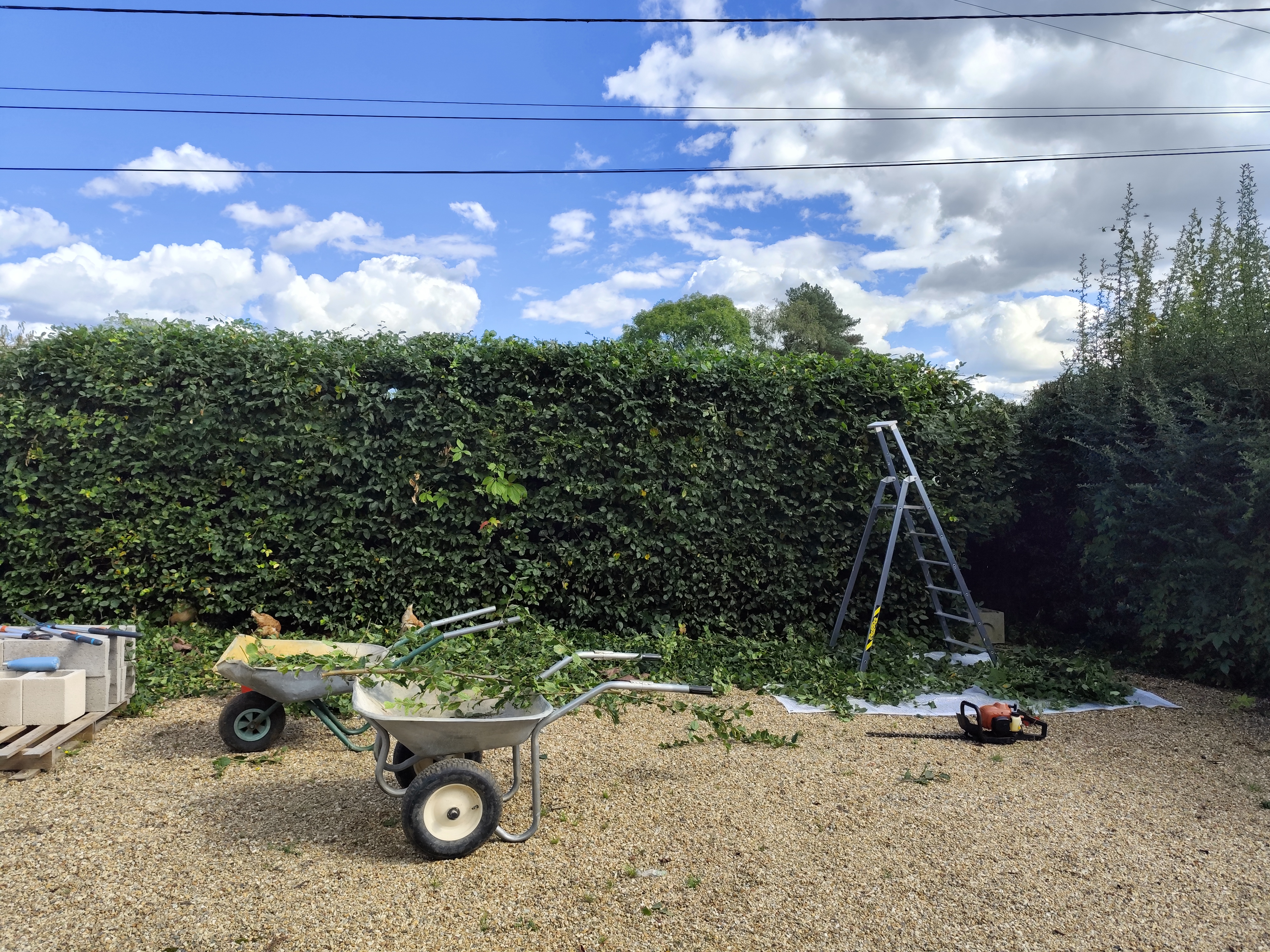 Service entretien jardin 37 entre particuliers