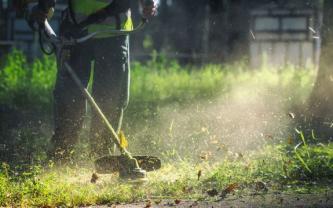 Service : debroussaillage Service : debroussaillage