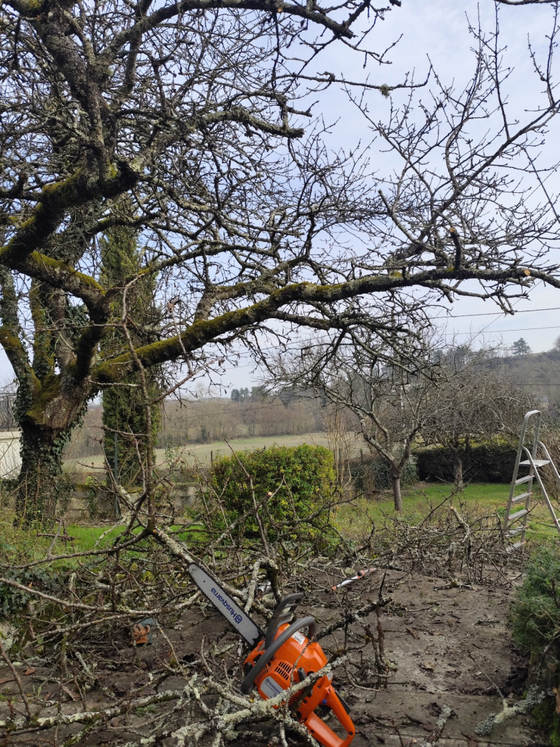 Service elagage 37 entre particuliers