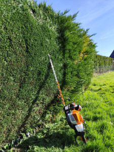 Service taille de haies 37 entre particuliers