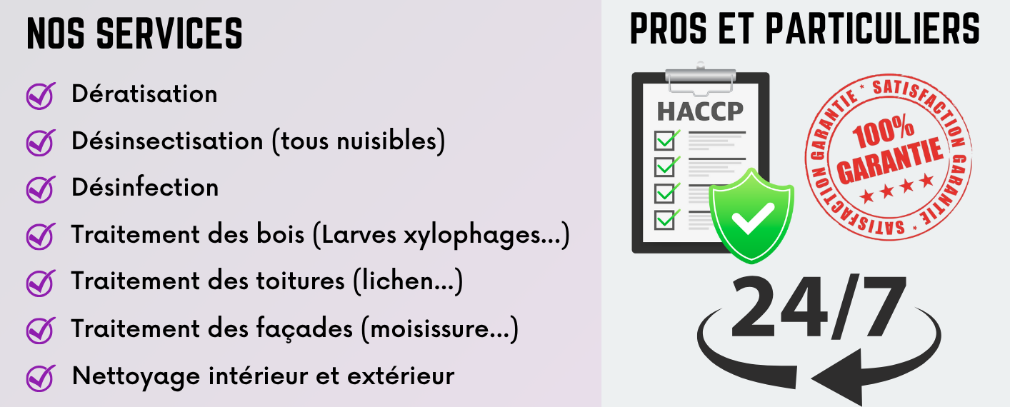 Service nettoyage 83 entre particuliers