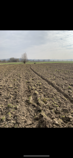 Location jardin potager entre particuliers