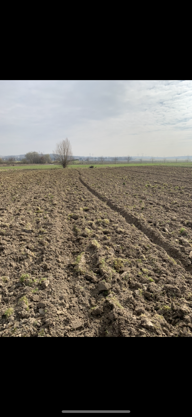 Location jardin potager 77 entre particuliers