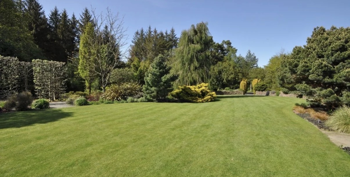 Location jardin 93 entre particuliers