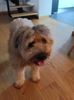 Proposer mes services Proposer mes services