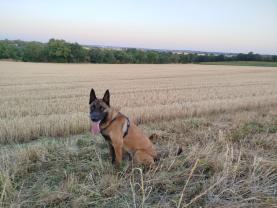 Proposer mes services Proposer mes services