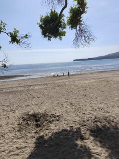 Location : jardin potager Location : jardin potager