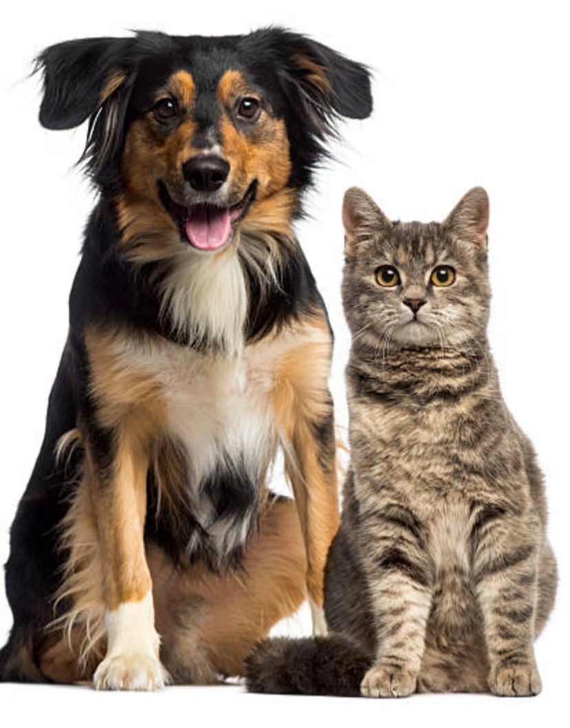 Location autre 33 entre particuliers