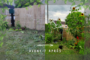 Service : entretien jardin Service : entretien jardin