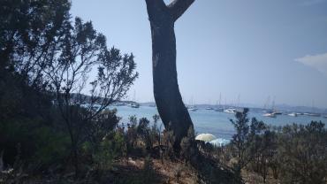 Location : voitures Location : voitures