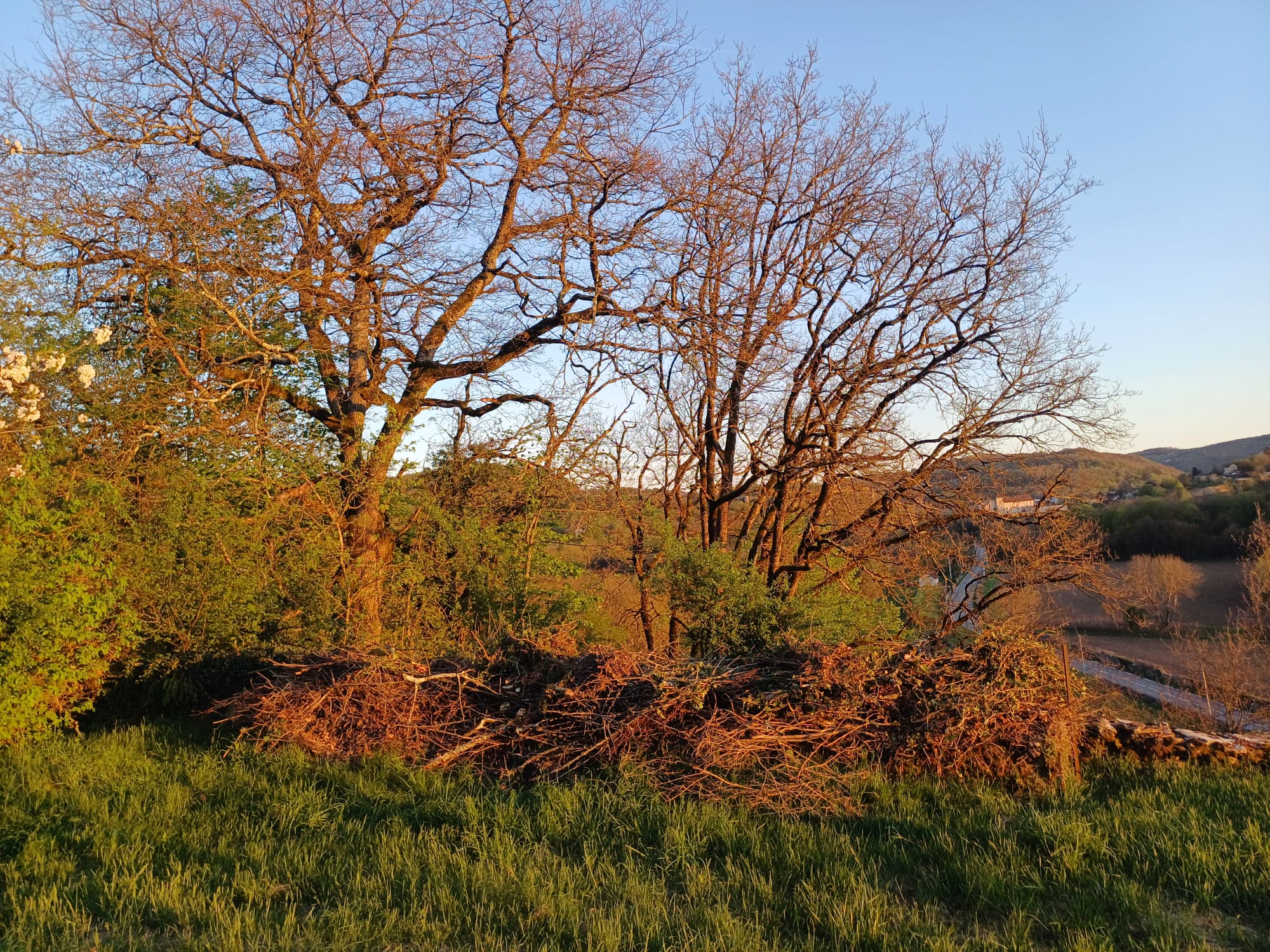 Location broyeur a vegetaux 38 entre particuliers