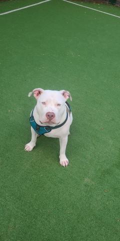 Location : voiture sans permis Location : voiture sans permis