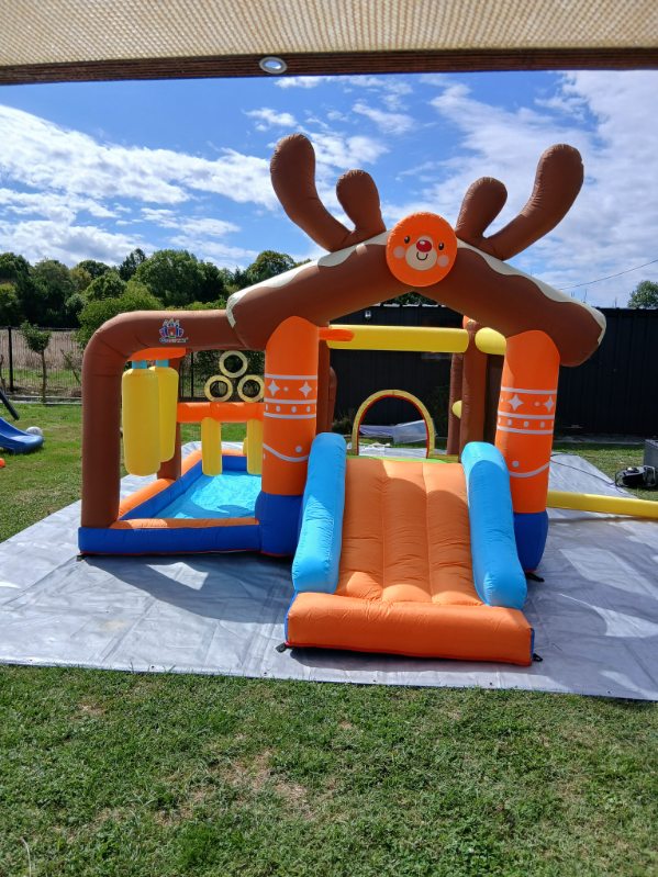 Location chateau gonflable 33 entre particuliers