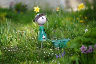 Service : entretien jardin Service : entretien jardin