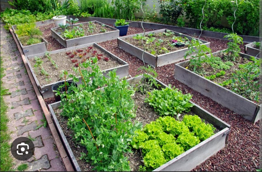 Location jardin potager 25 entre particuliers