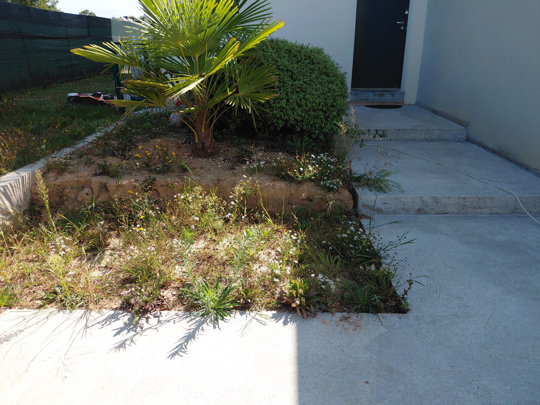 Service jardinage entre particuliers (35)