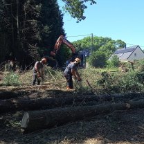 Service : entretien jardin