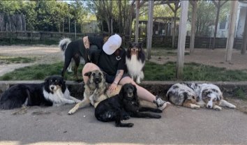 Service : promeneur chien