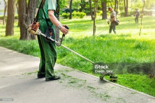 Service jardinage