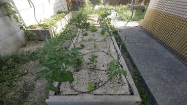 Location : jardin potager