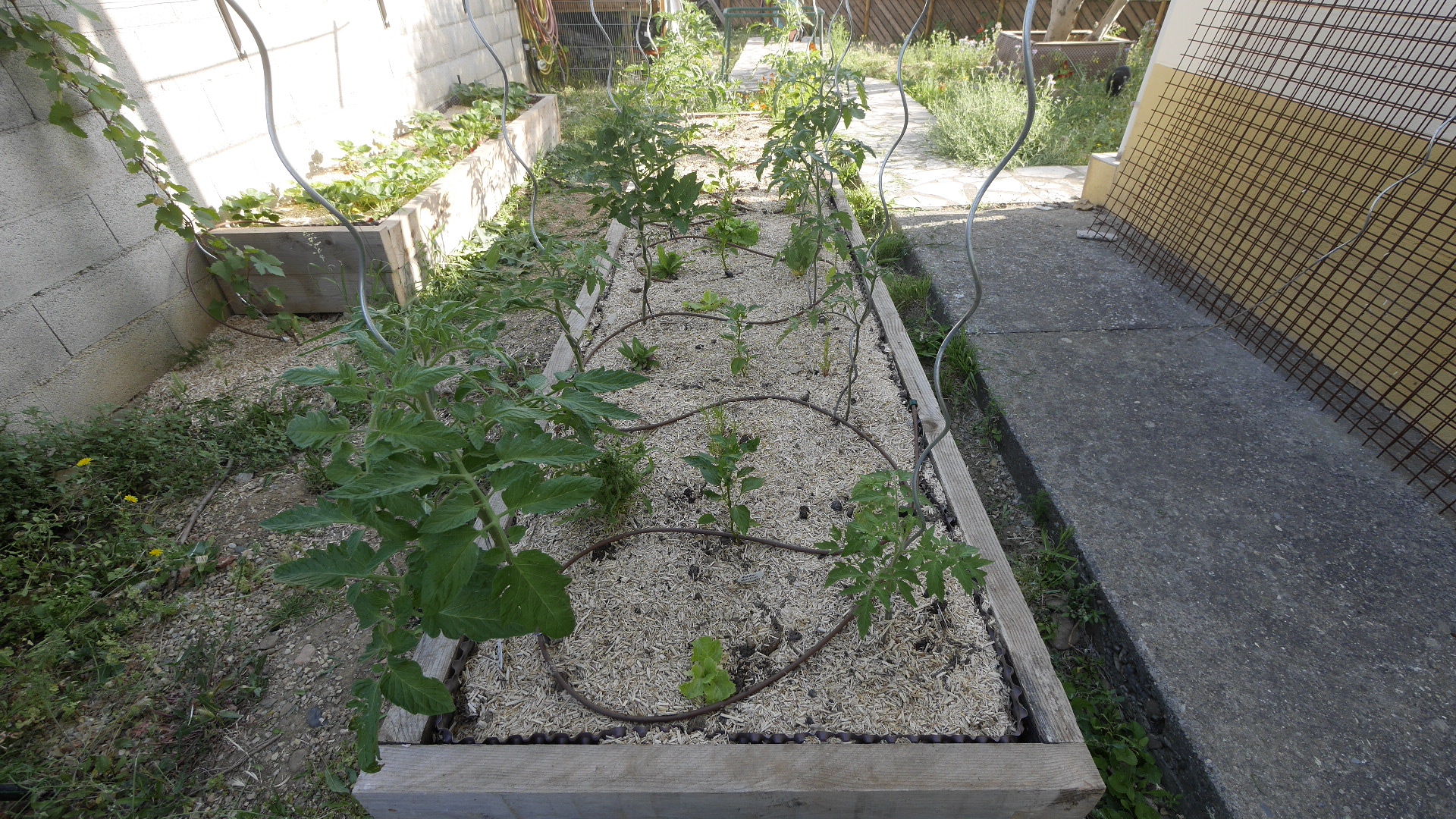 Location jardin potager 11 entre particuliers
