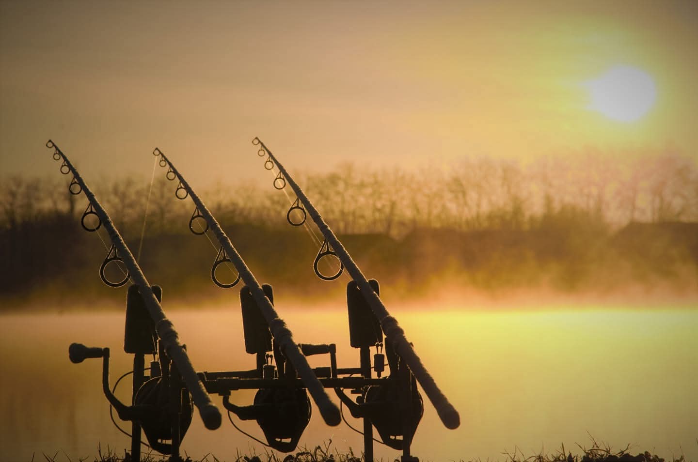 Location autre 64 entre particuliers