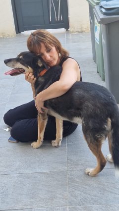 Service : garde animaux