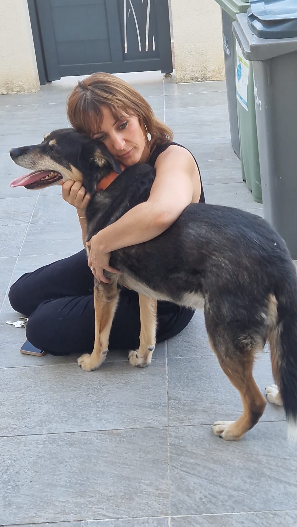 Service garde animaux 92 entre particuliers