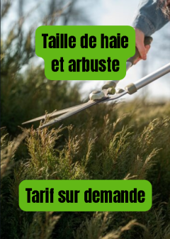 Service : taille de haies