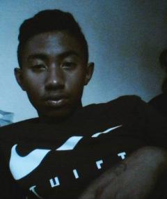 Service : chien Service : chien