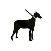 Service : soutien scolaire Service : soutien scolaire